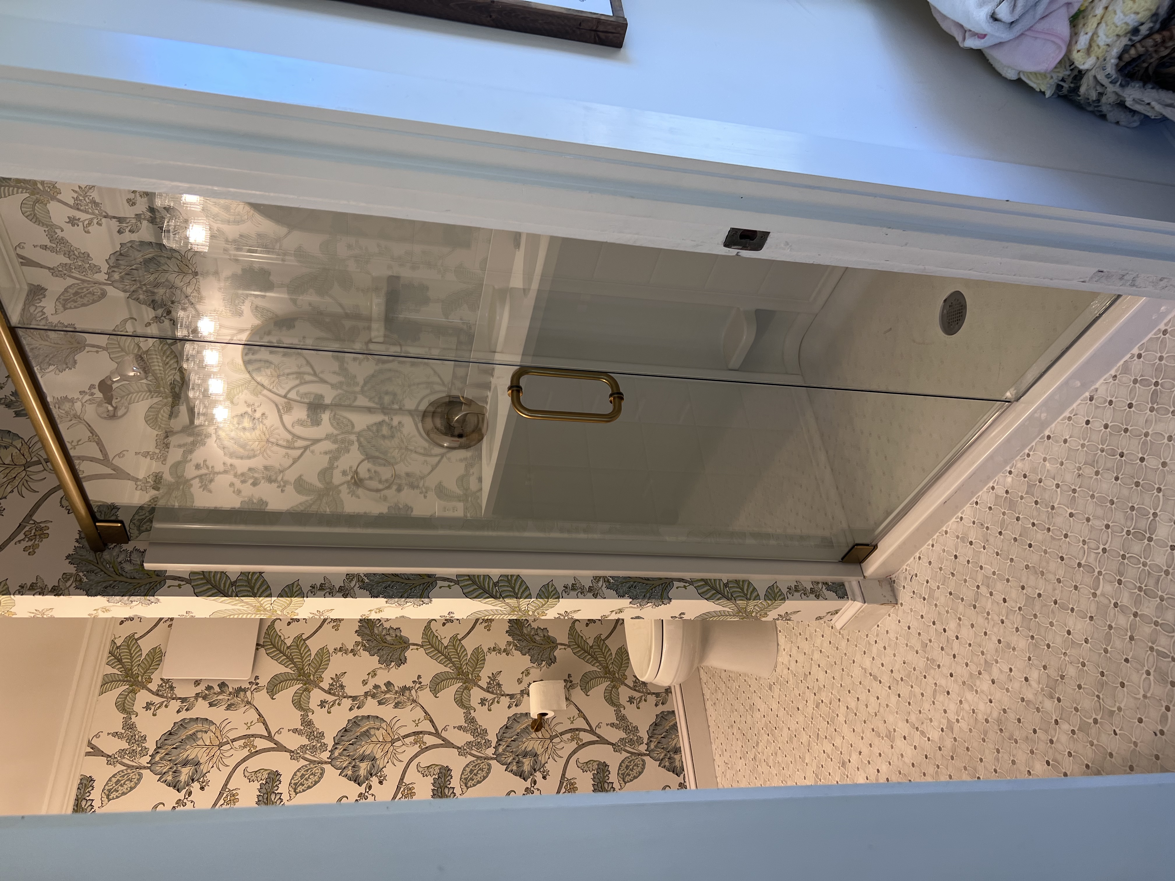 This is a glass door with a brushed bronze finish pivot hinge.